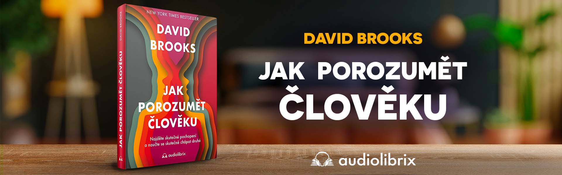 Kniha Jak porozumět člověku - David Brooks