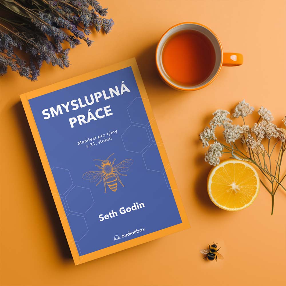 Kniha Smysluplná práce – Seth Godin